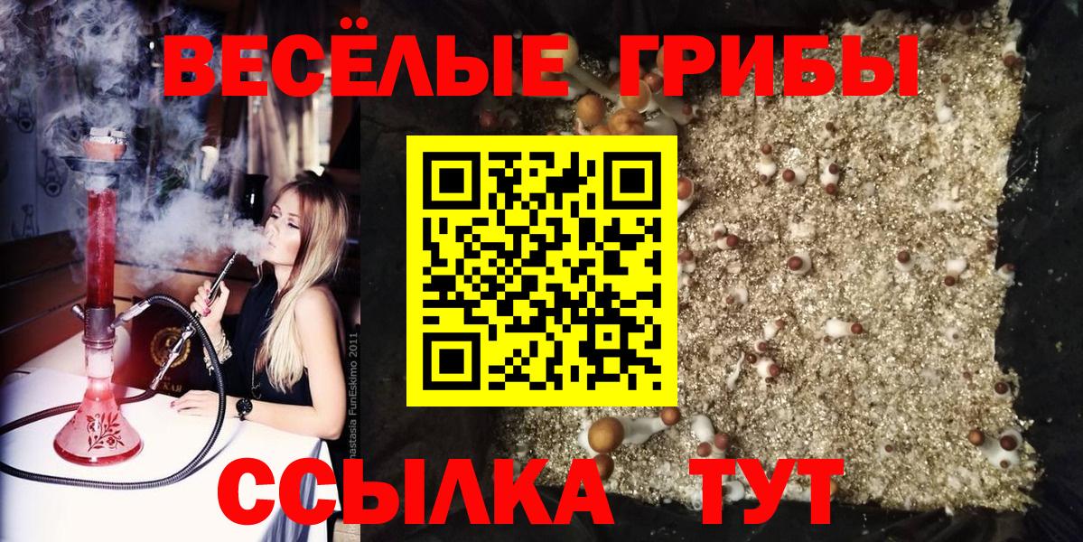 Псилоцибиновые грибы GOLDEN TEACHER Донецк