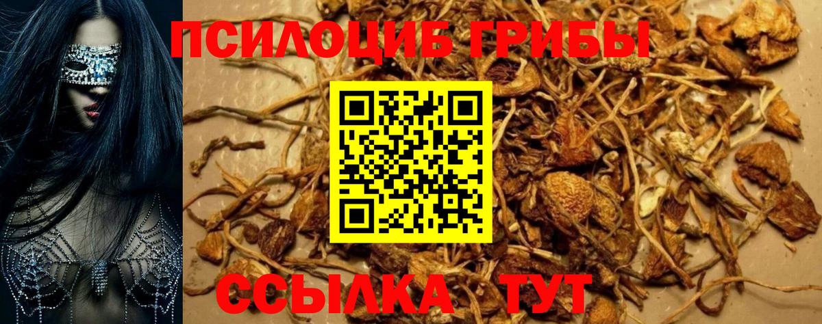 Галлюциногенные грибы MAGIC MUSHROOMS  Вход с VPN  Донецк 